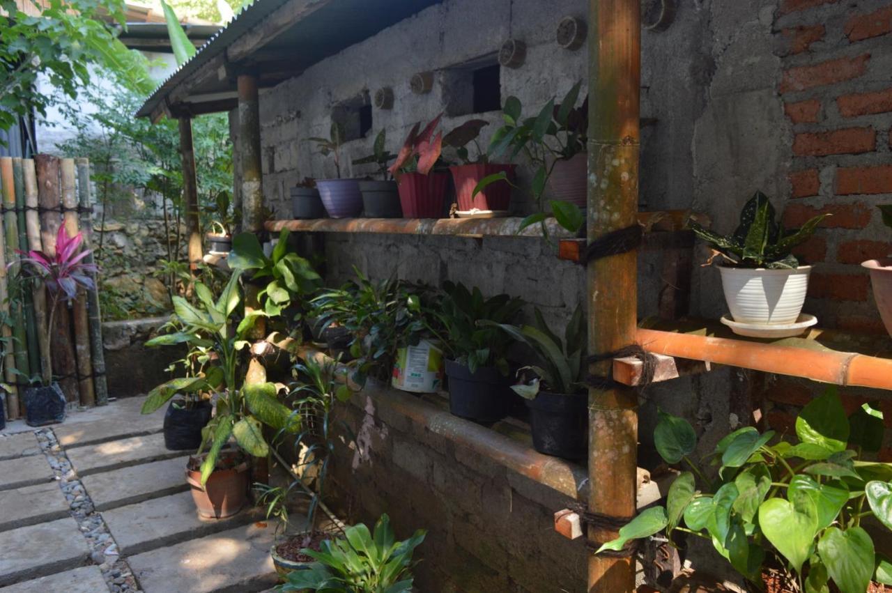 Labuan Bajo Mahoni Guesthouse Екстер'єр фото
